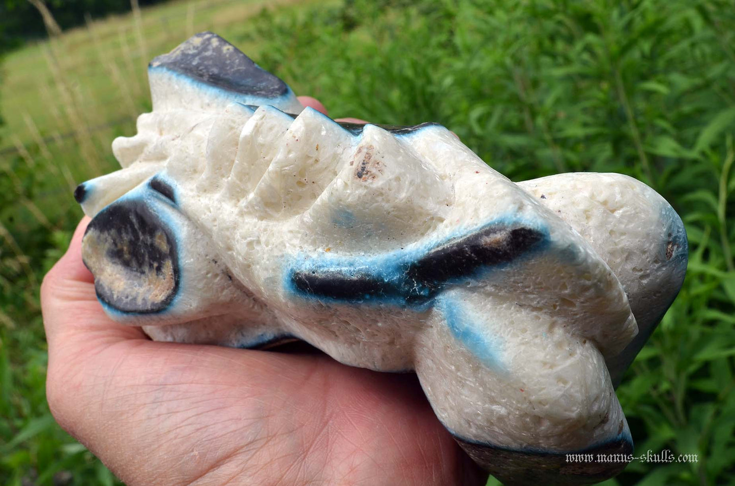 Large Glacierite Dragon