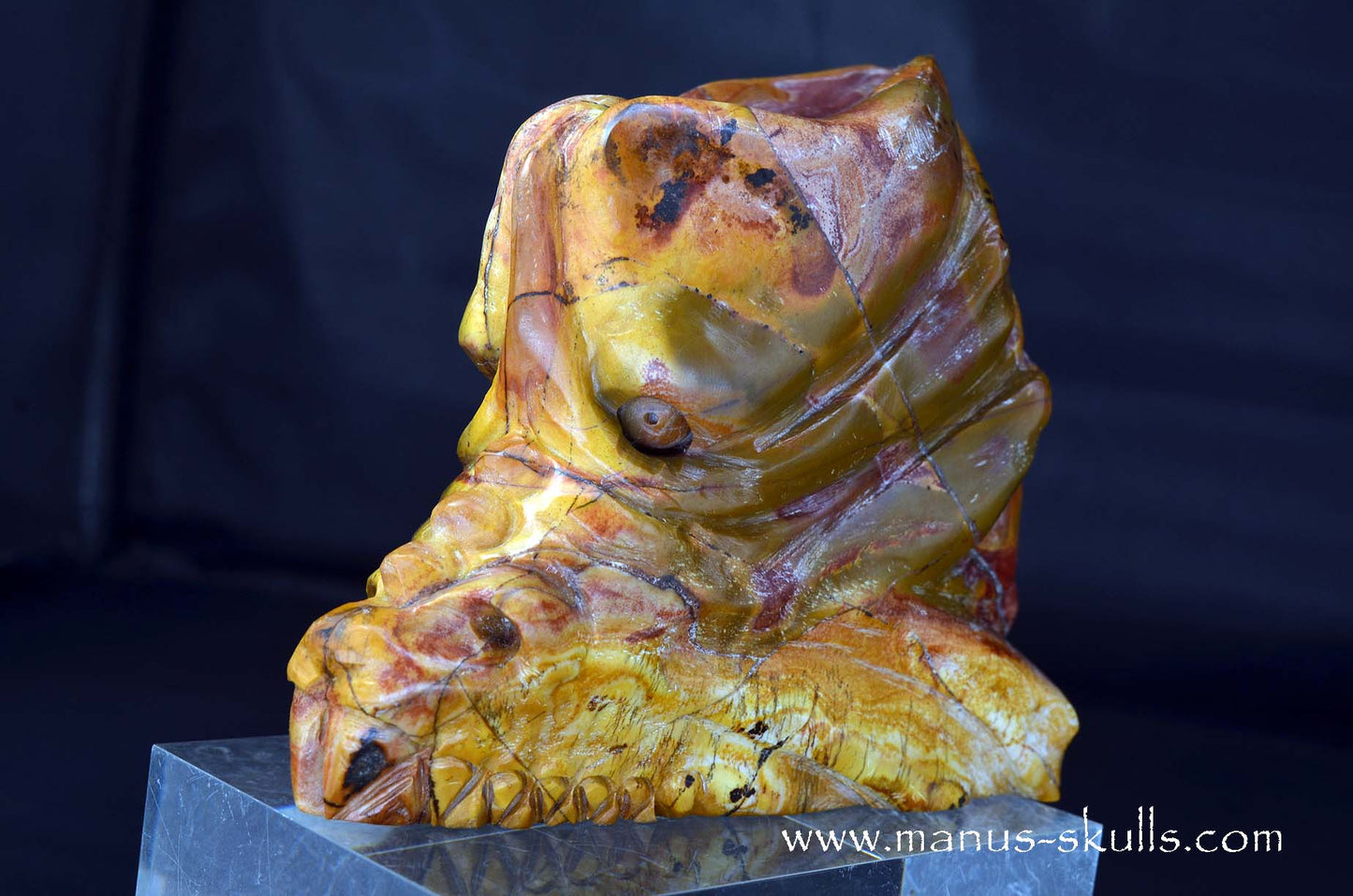 Rainbow Jasper Dragon