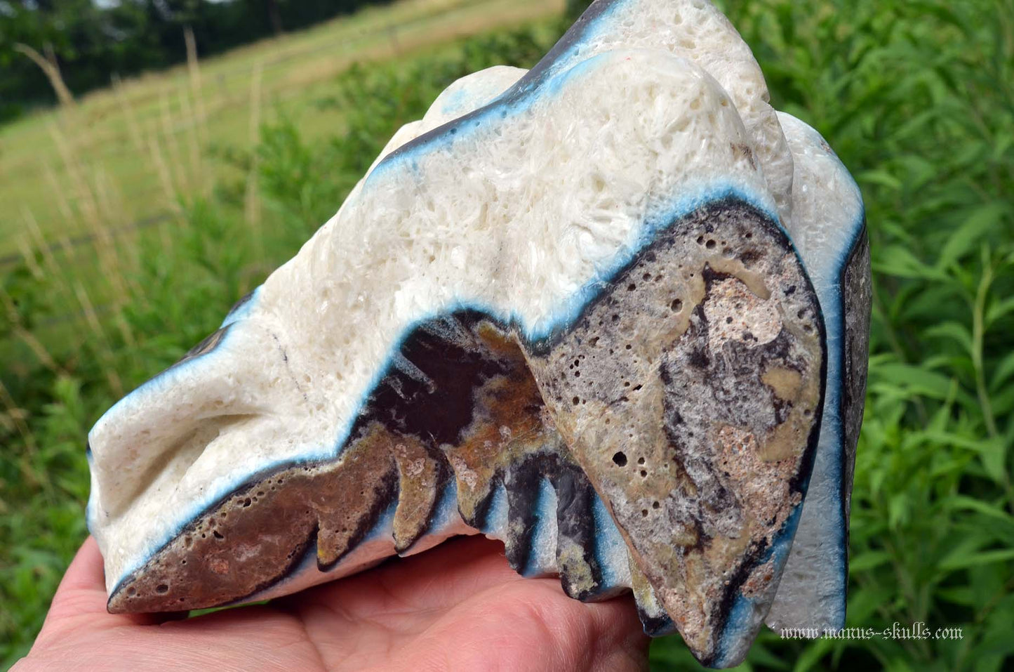 Large Glacierite Dragon