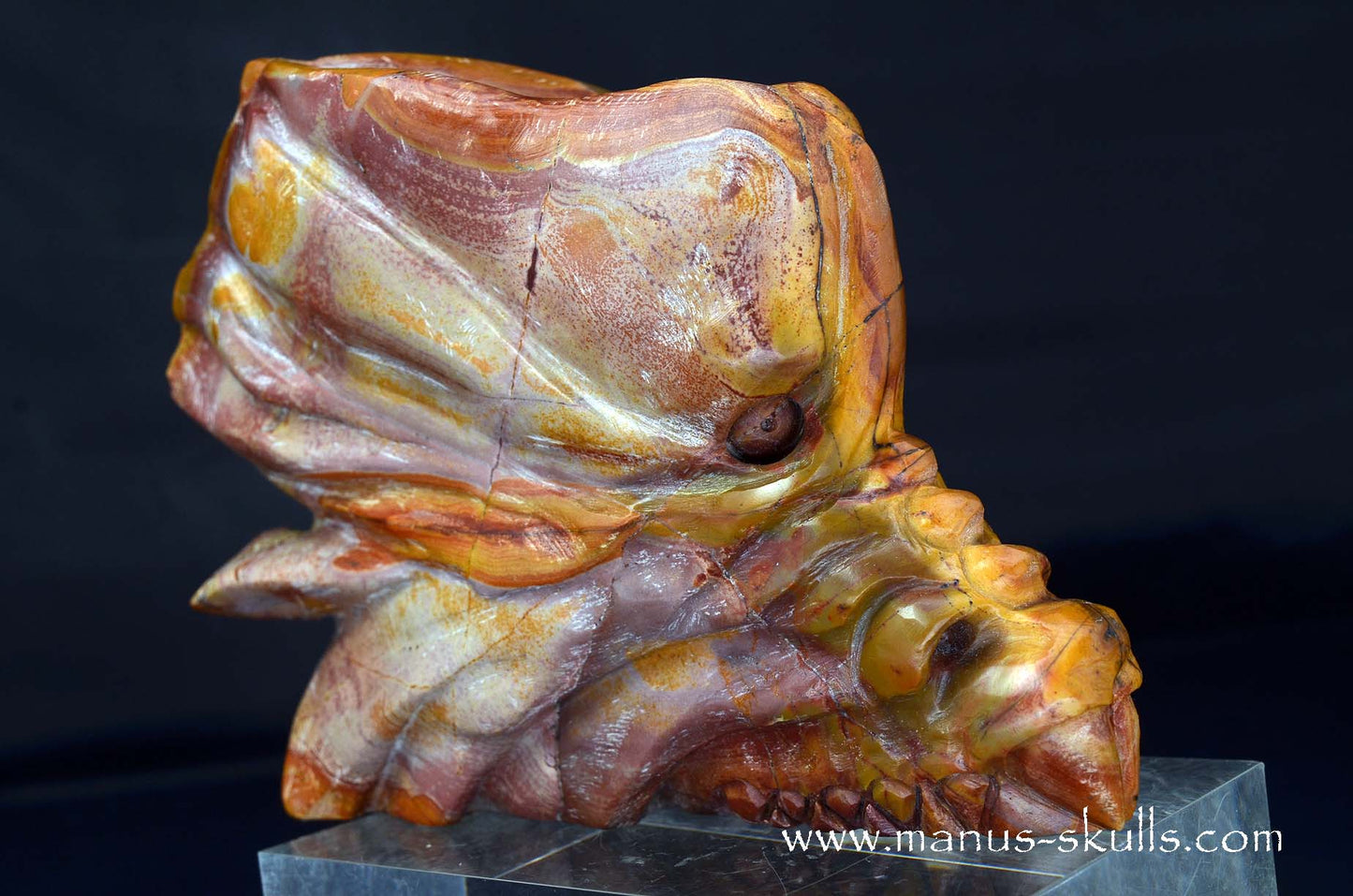 Rainbow Jasper Dragon