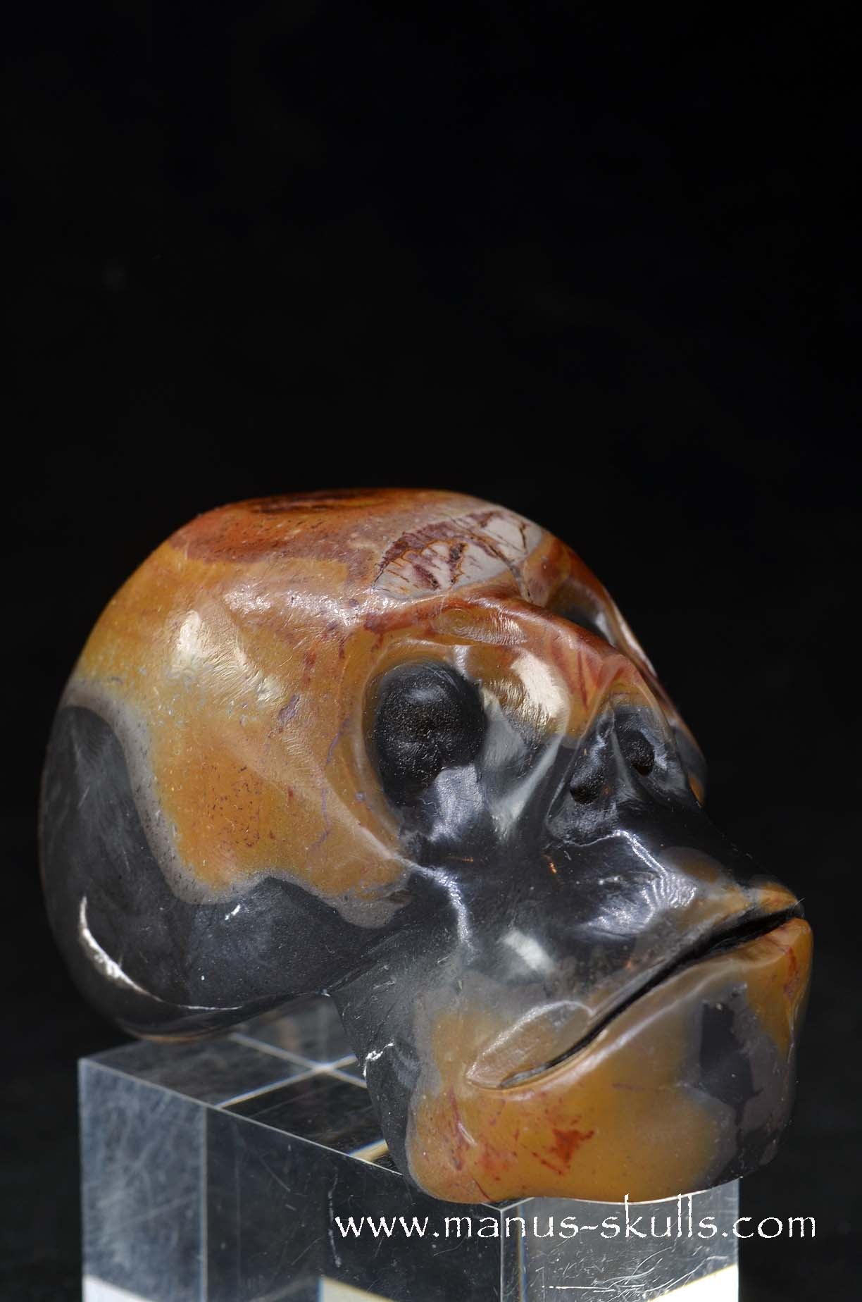 Rainbow Jasper Skull