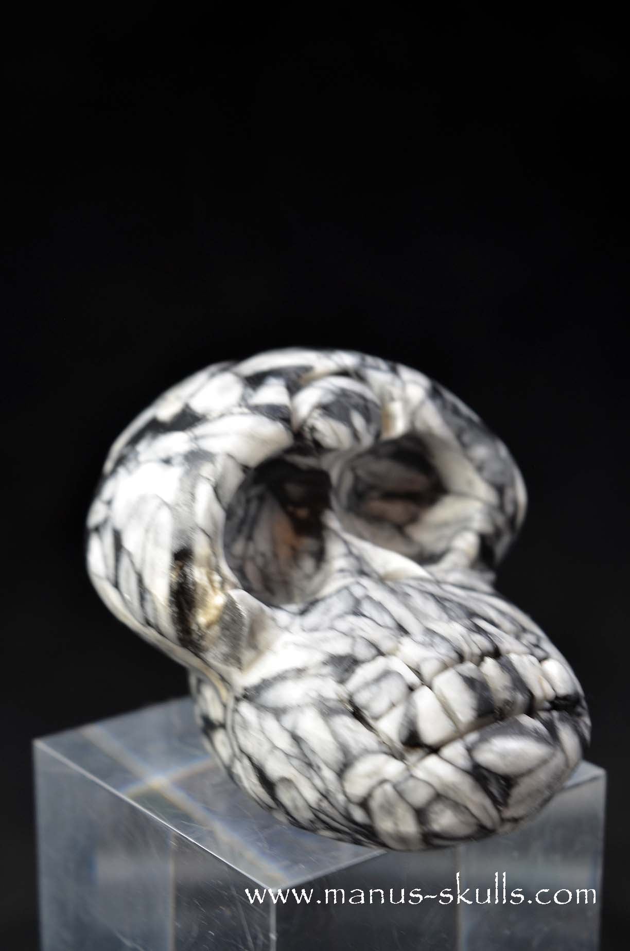 Austrian Pinolith Evolian #03