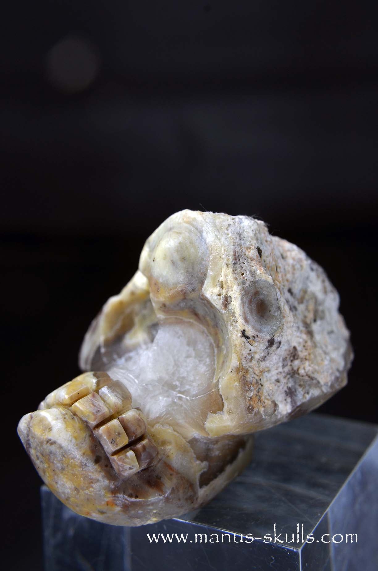 Manus skulls unique Crystal Carvings handmade skulls dragons pendants preseli bluestone tribals spiritual meaning wand Unicorn .. TNT bed   Lithophyse   Thunderegg