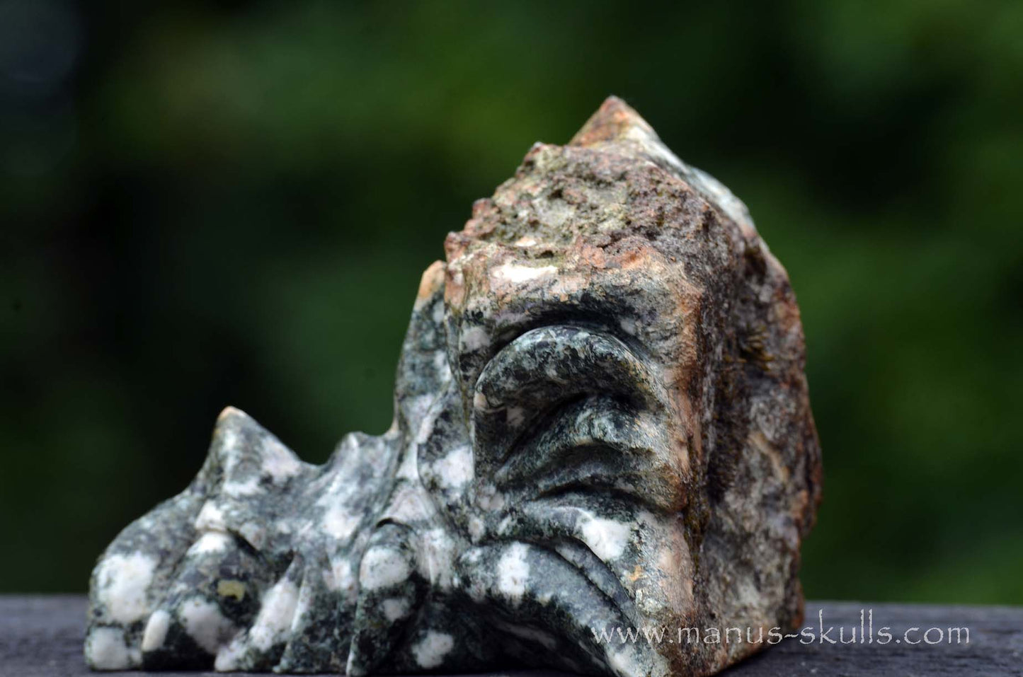 Preseli Bluestone Dragon