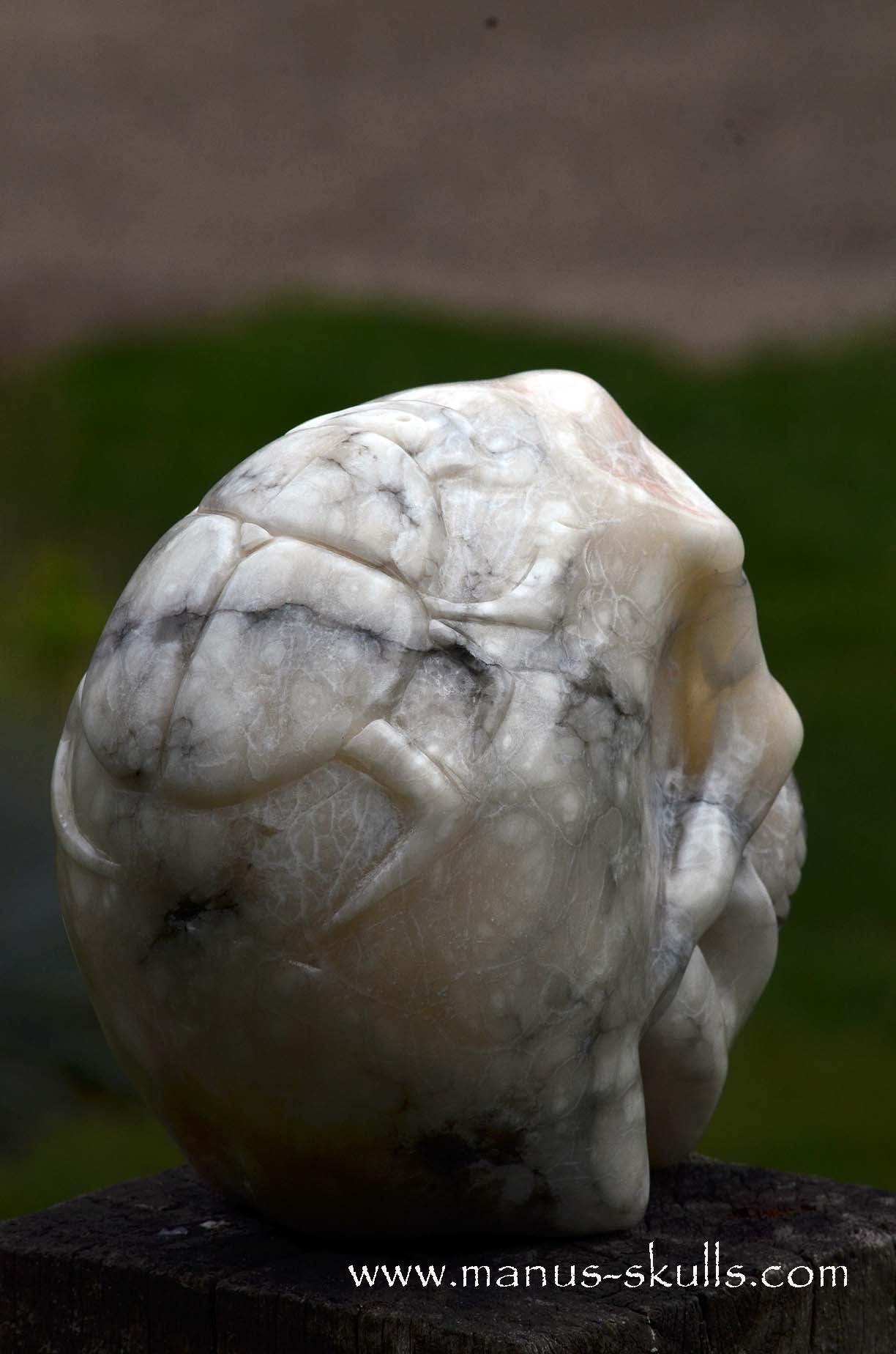 Alabaster Skull with carved Scarab Beetle ....