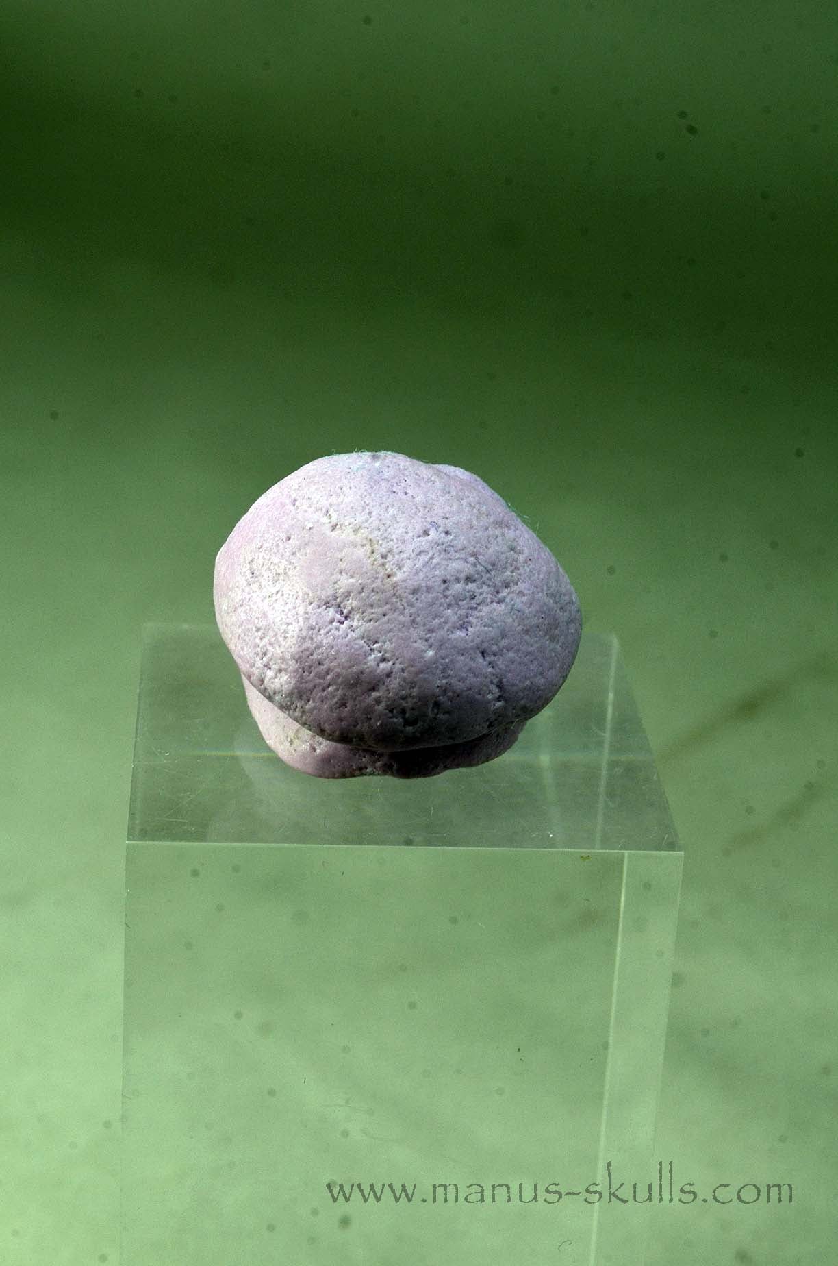 Phosphosiderite Evolian Skull #02
