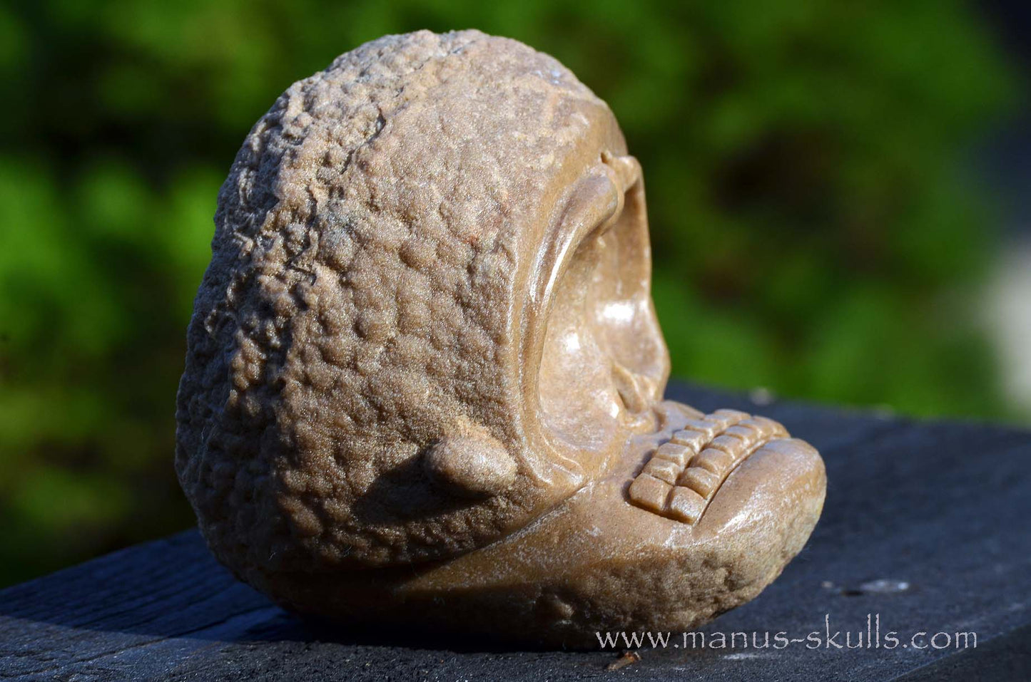 Manus skulls unique Crystal Carvings handmade skulls dragons pendants preseli bluestone tribals spiritual meaning wand Unicorn .. Oncolite stromatolite Evolian 2025