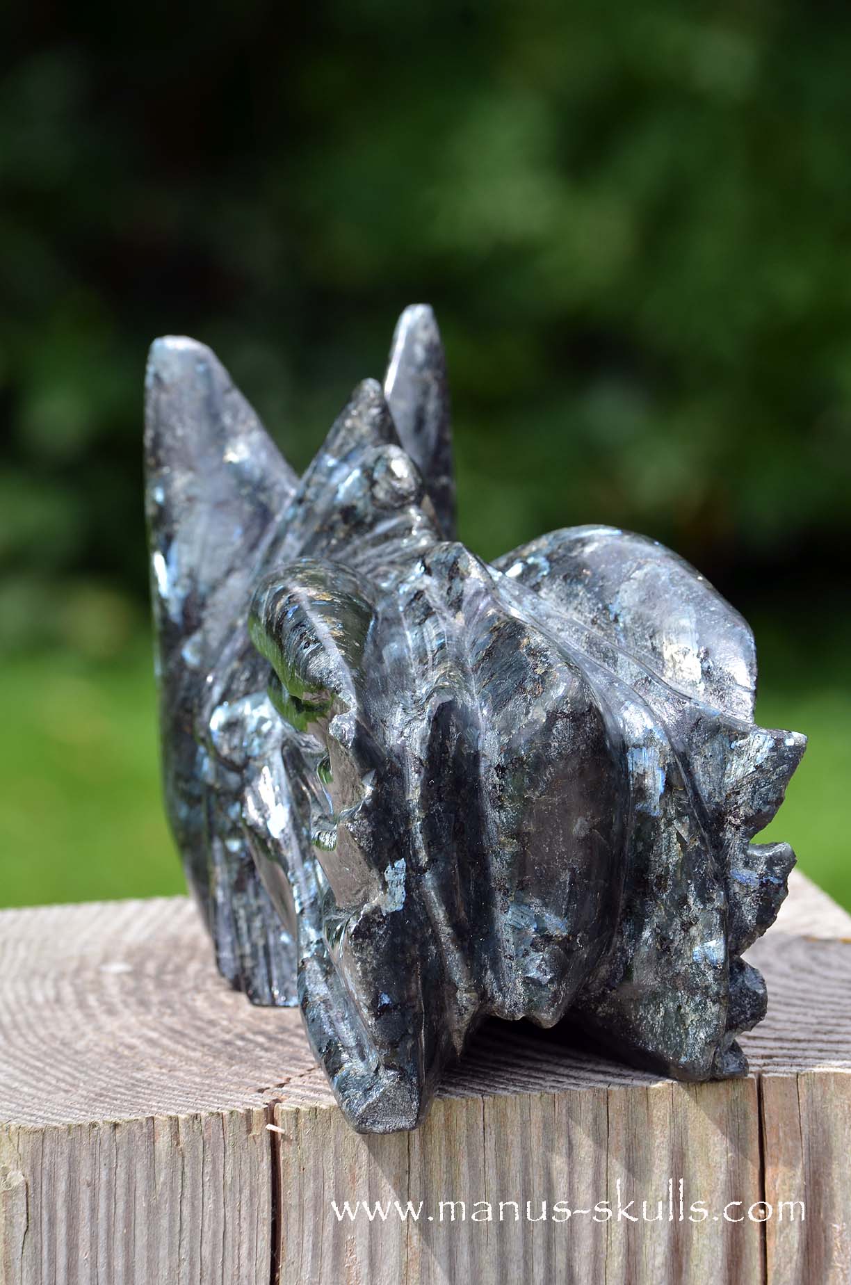 Large Larvikite Dragon