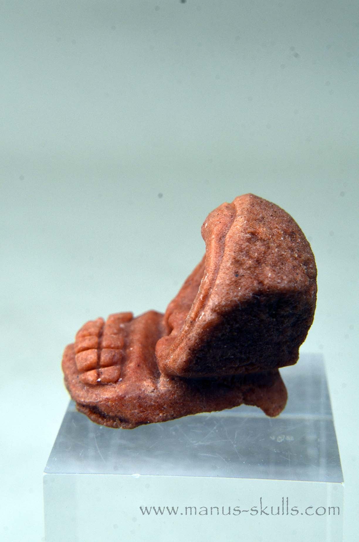 Manus skulls unique Crystal Carvings handmade skulls dragons pendants preseli bluestone tribals spiritual meaning wand Unicorn .. Stromatolite Oncolite Evolian 2025 Ivolian