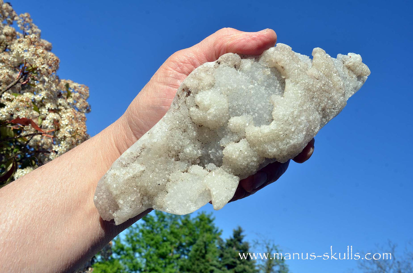 Apophyllite Dragon