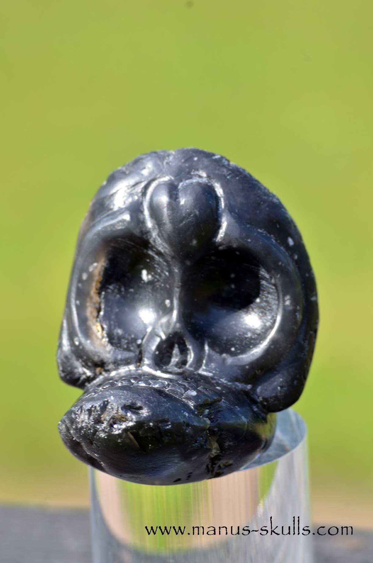 Agni Manitite Evolian Manus Skull