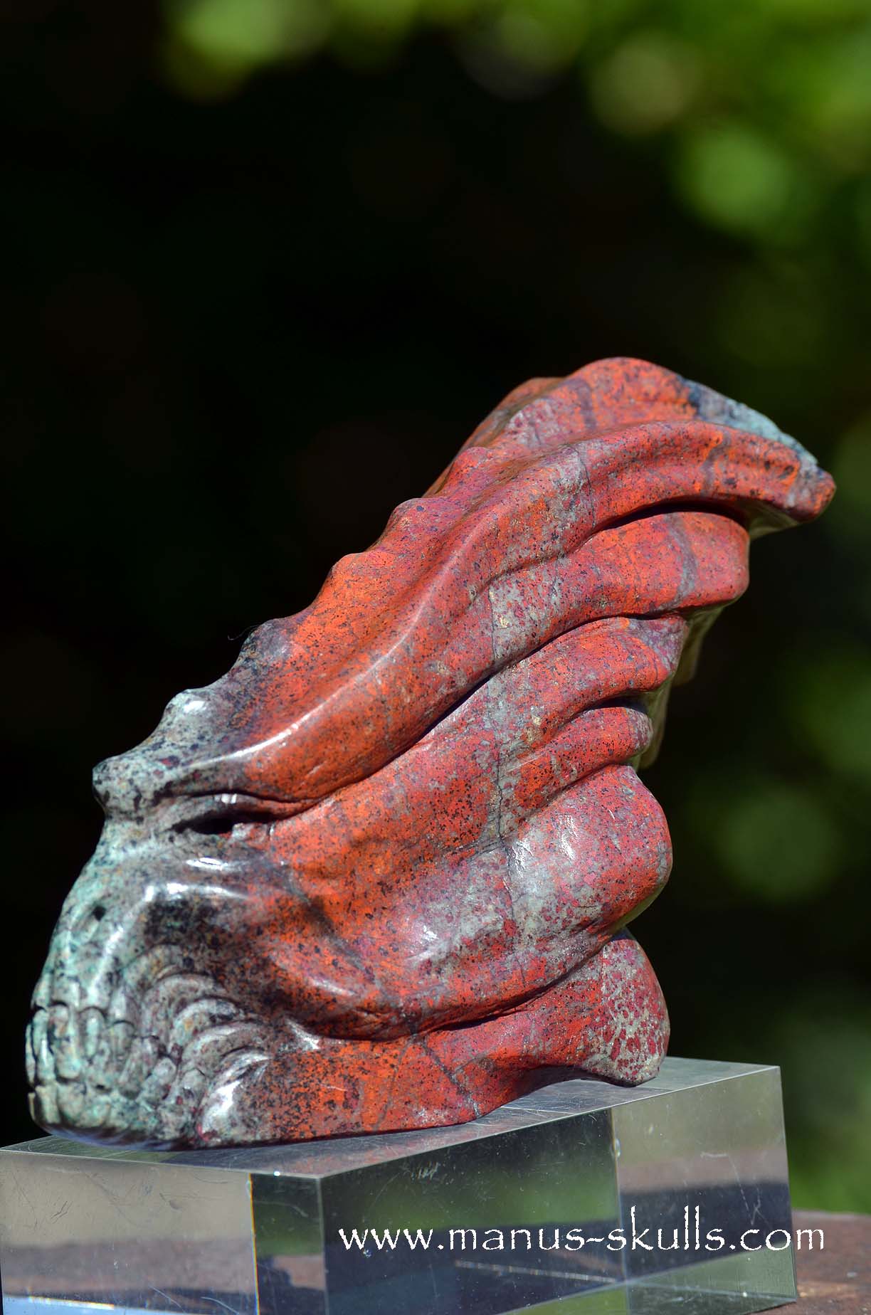Special! .... Large SONORA SUNRISE Dragon ....