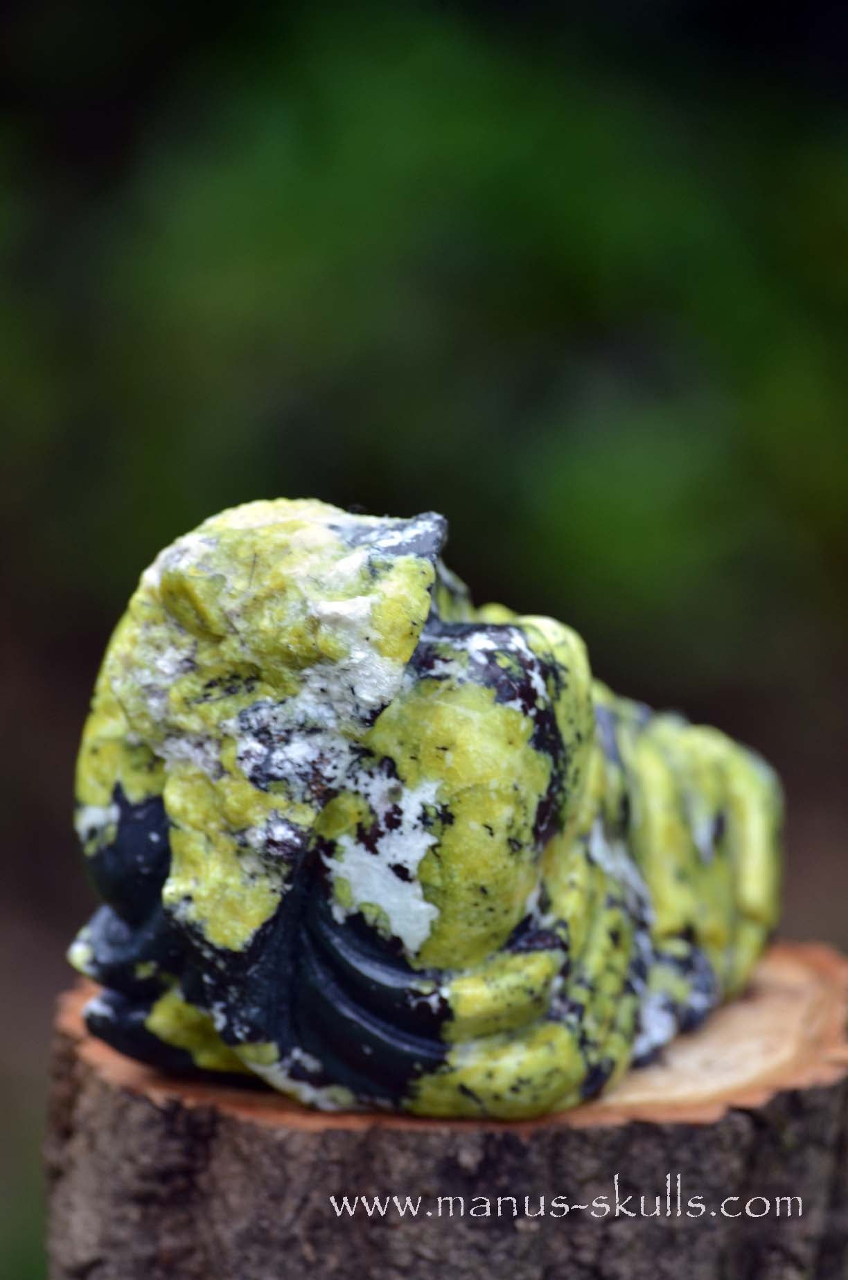 Lizardite Dragon