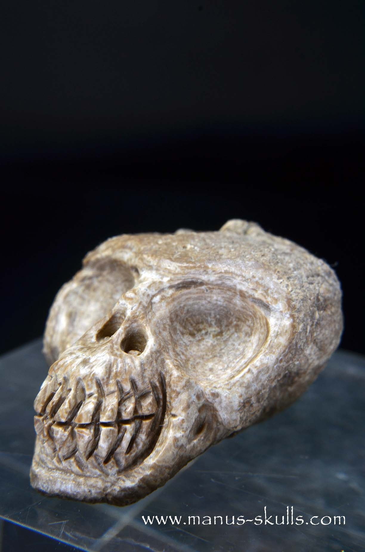 Manus skulls unique Crystal Carvings handmade skulls dragons pendants preseli bluestone tribals spiritual meaning wand Unicorn .. aragonite nodul