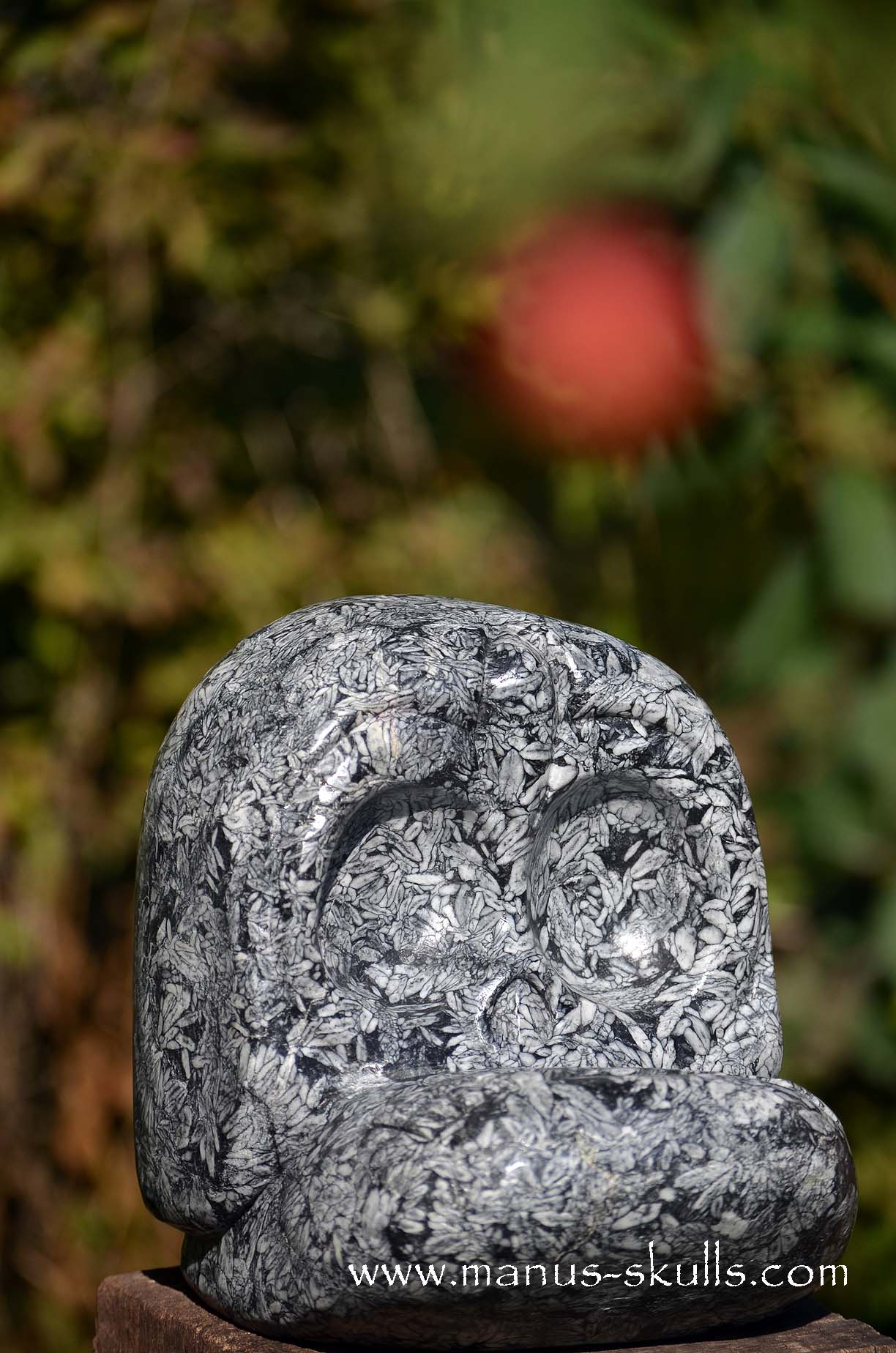 Manus skulls unique Crystal Carvings handmade skulls dragons pendants preseli bluestone tribals spiritual meaning wand Unicorn .. austrian pinolith