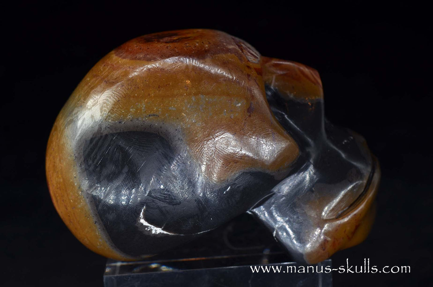 Rainbow Jasper Skull