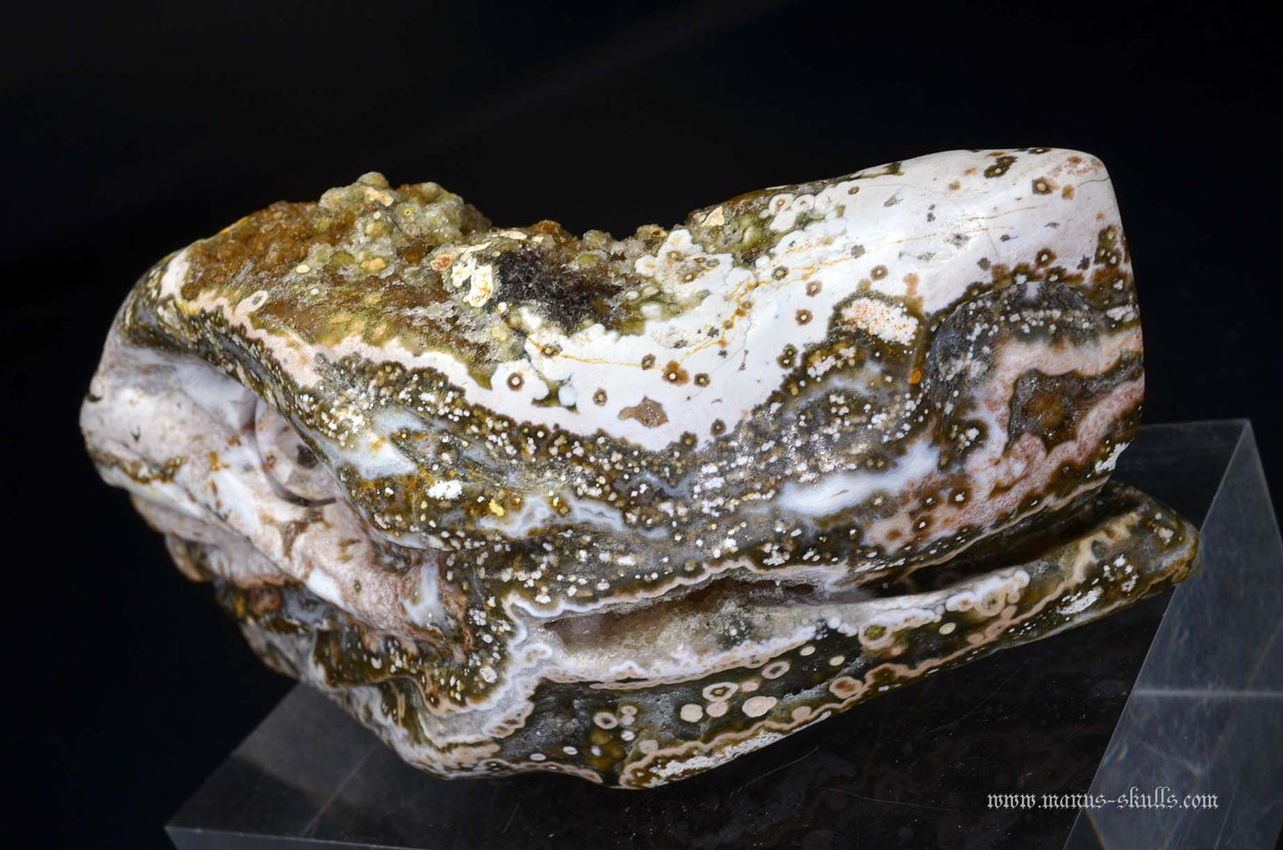 Ocean Jasper Dragon
