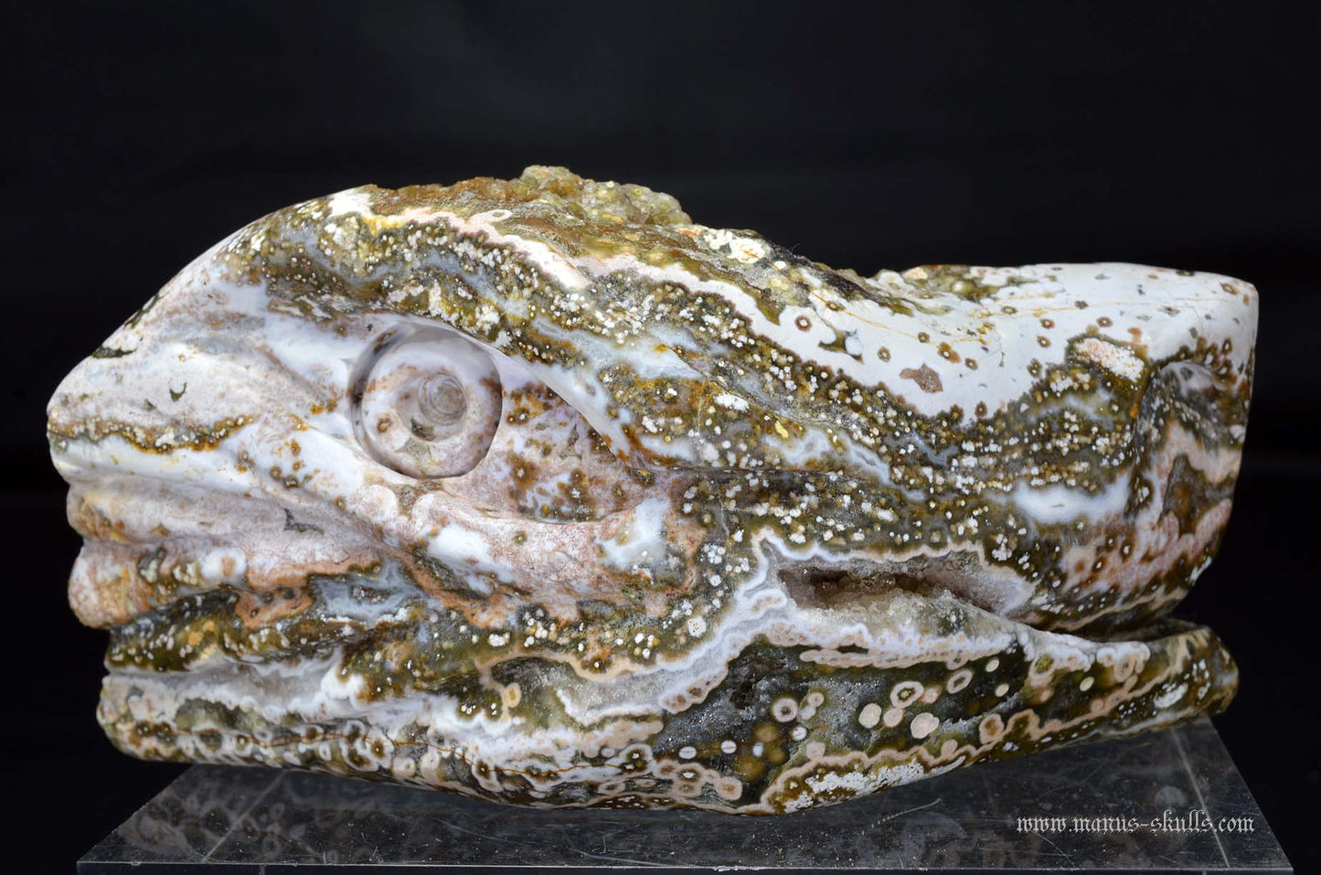Ocean Jasper Dragon