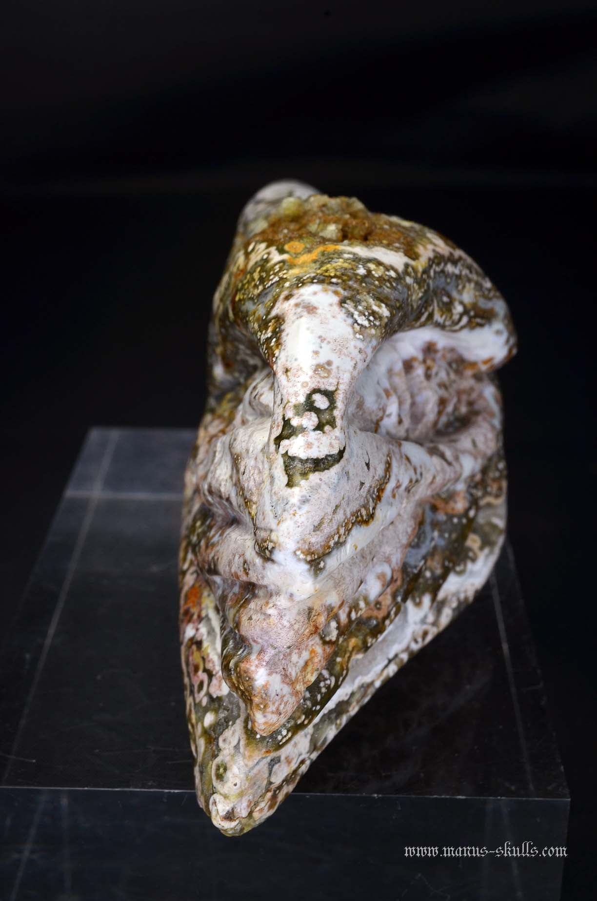 Ocean Jasper Dragon
