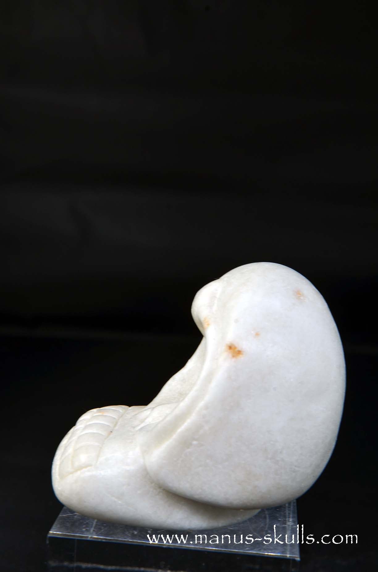 White Steatite Evolian #07