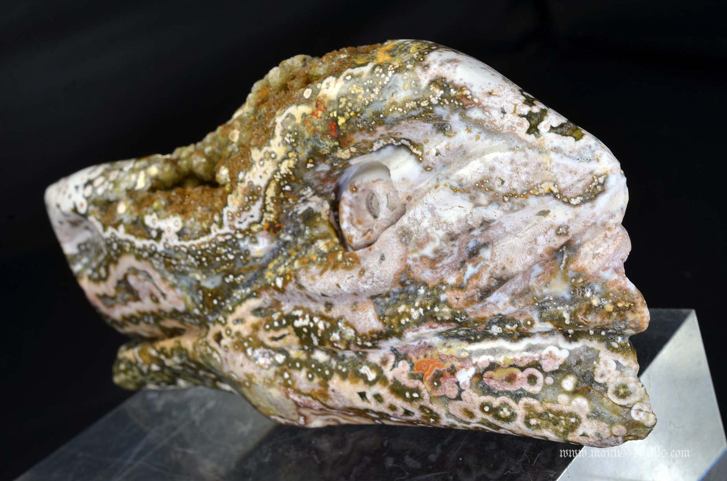 Ocean Jasper Dragon