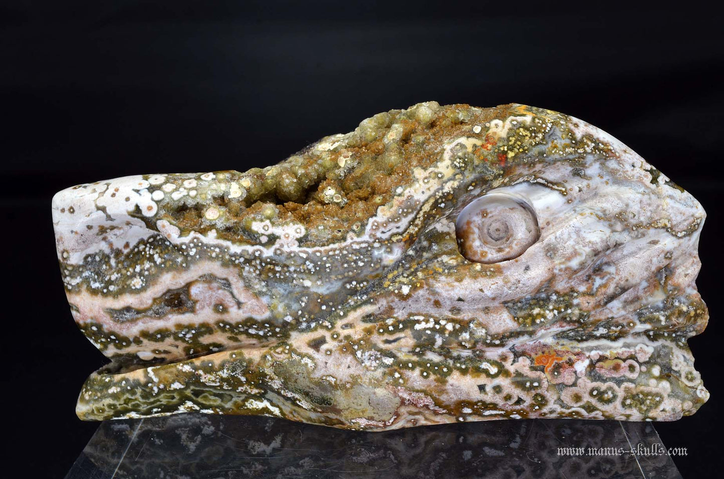 Ocean Jasper Dragon
