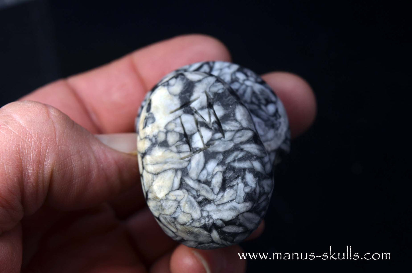Austrian Pinolith Evolian #03