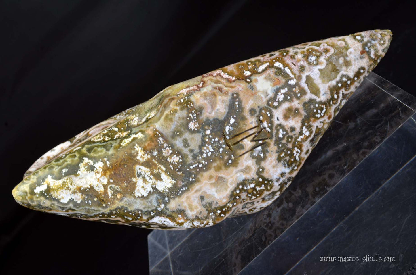 Ocean Jasper Dragon