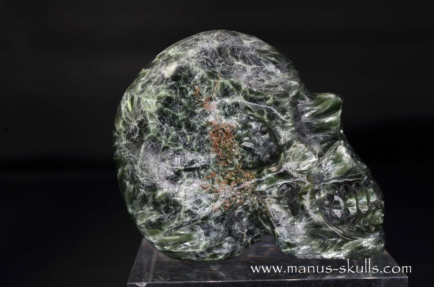 Seraphinite Skull