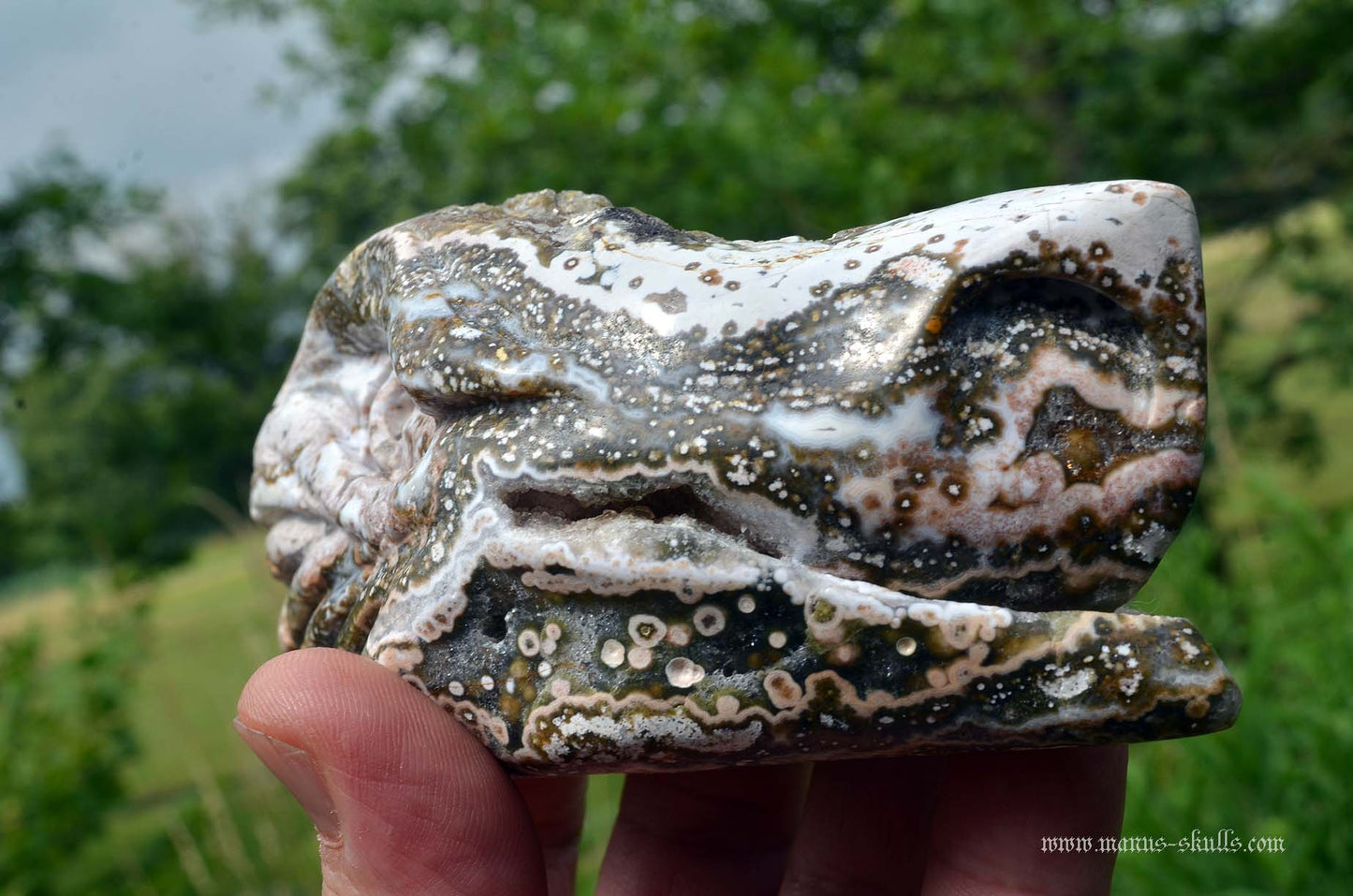 Ocean Jasper Dragon
