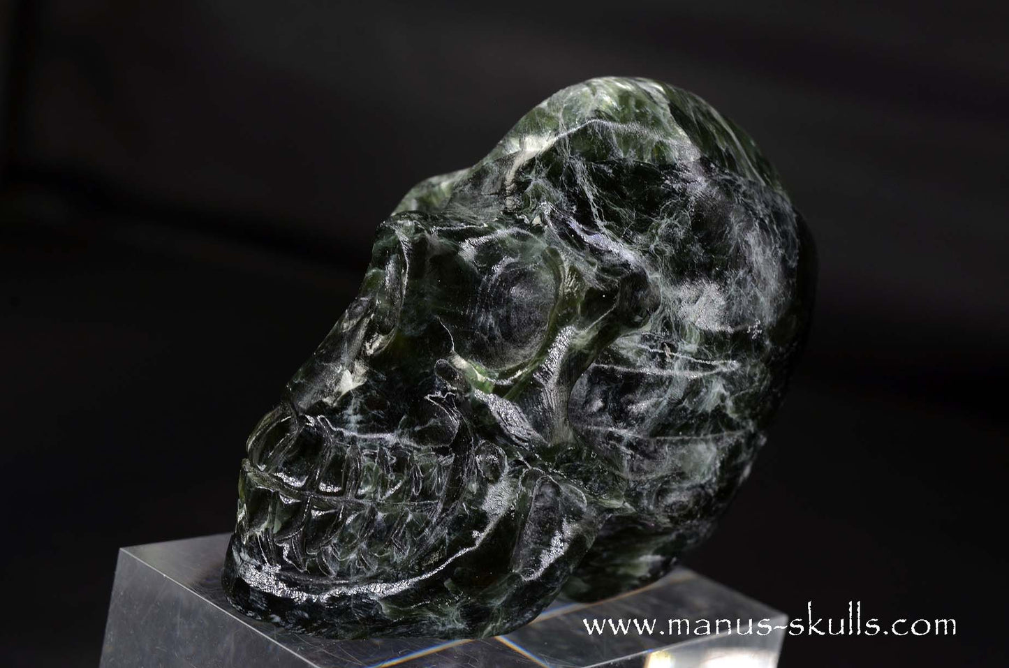 Seraphinite Skull