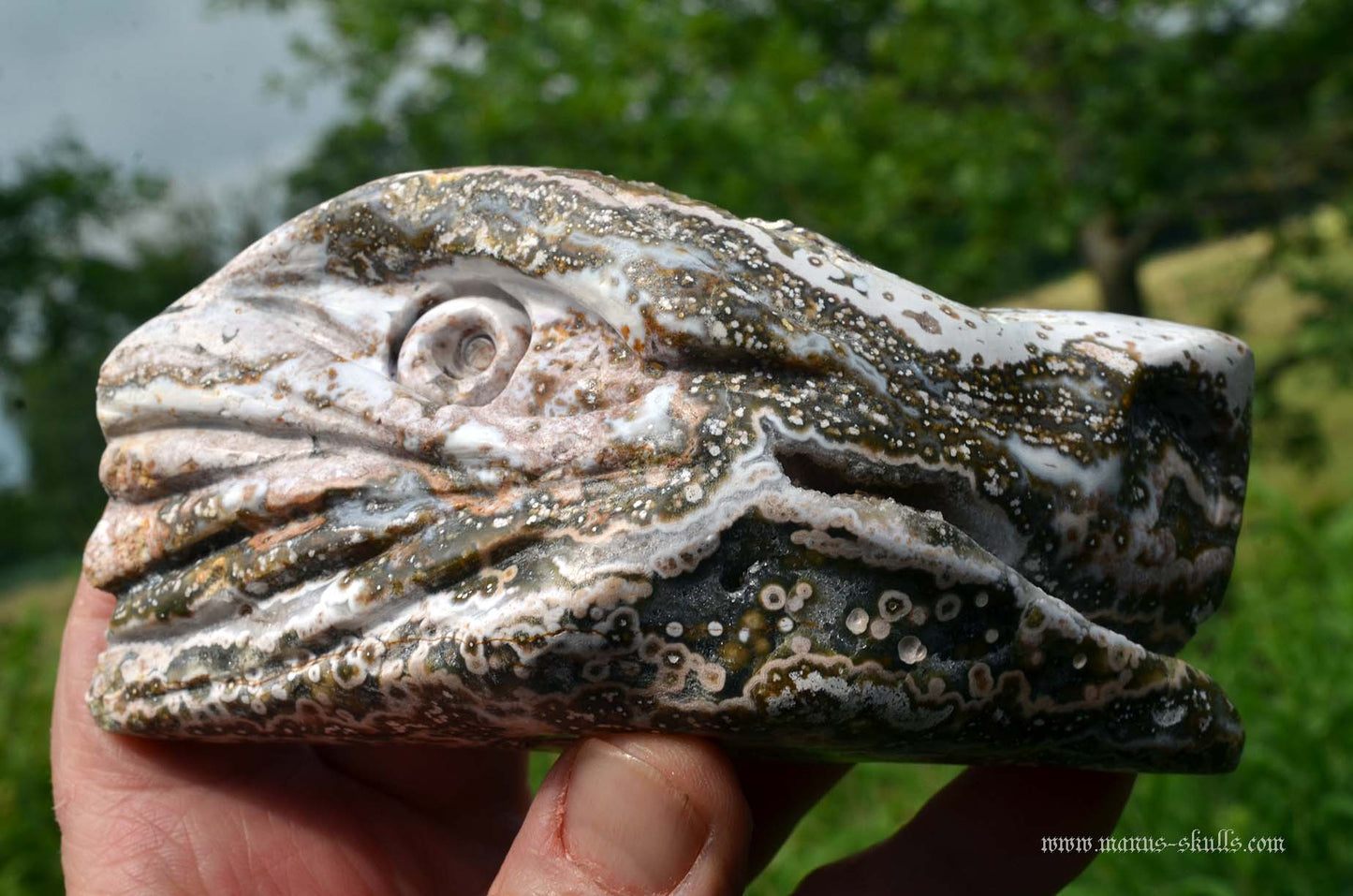 Ocean Jasper Dragon