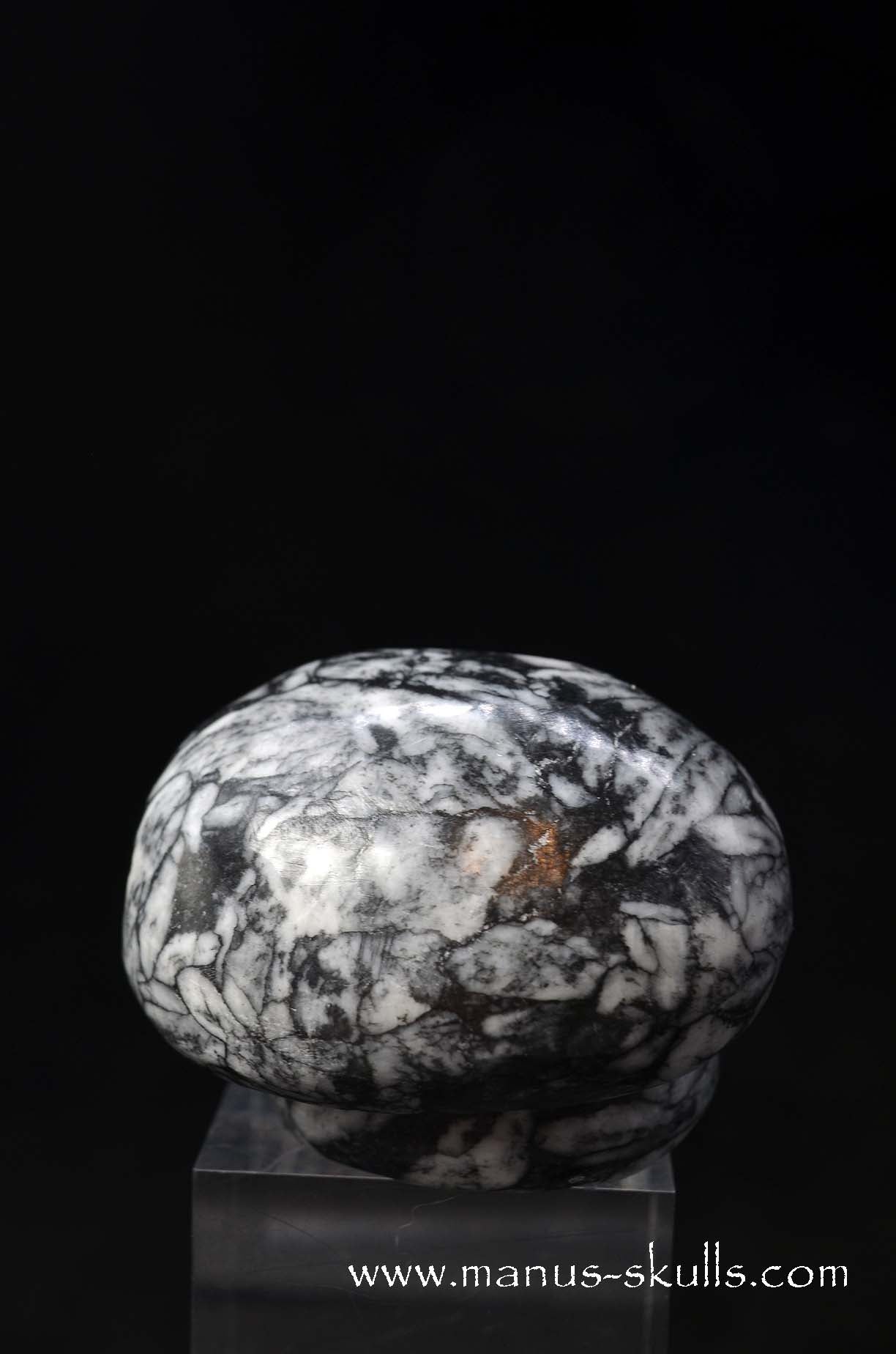 Austrian Pinolith Evolian #04