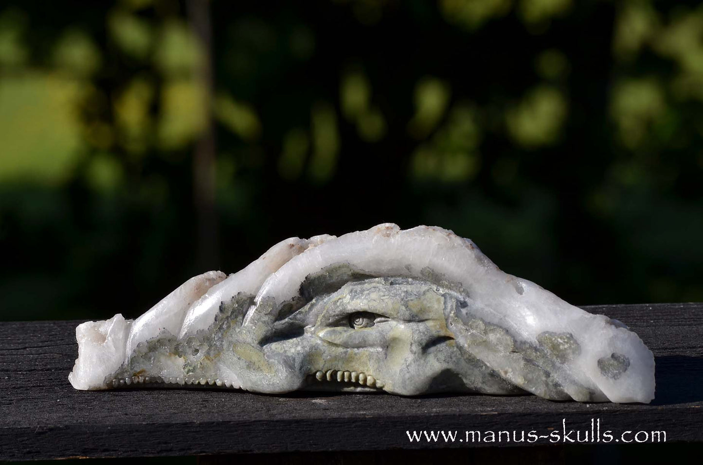 Apophyllite Dragon