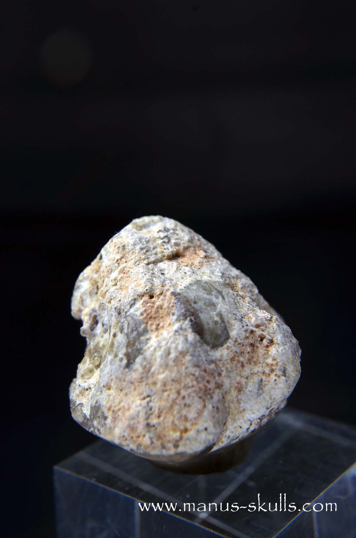 TNT-bed Thunderegg Evolian #02