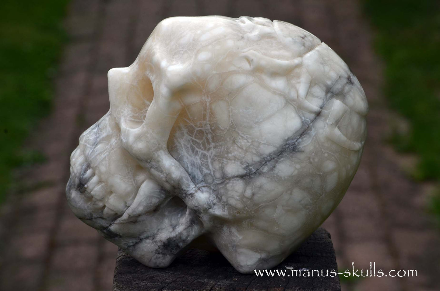 Alabaster Skull with carved Scarab Beetle ....