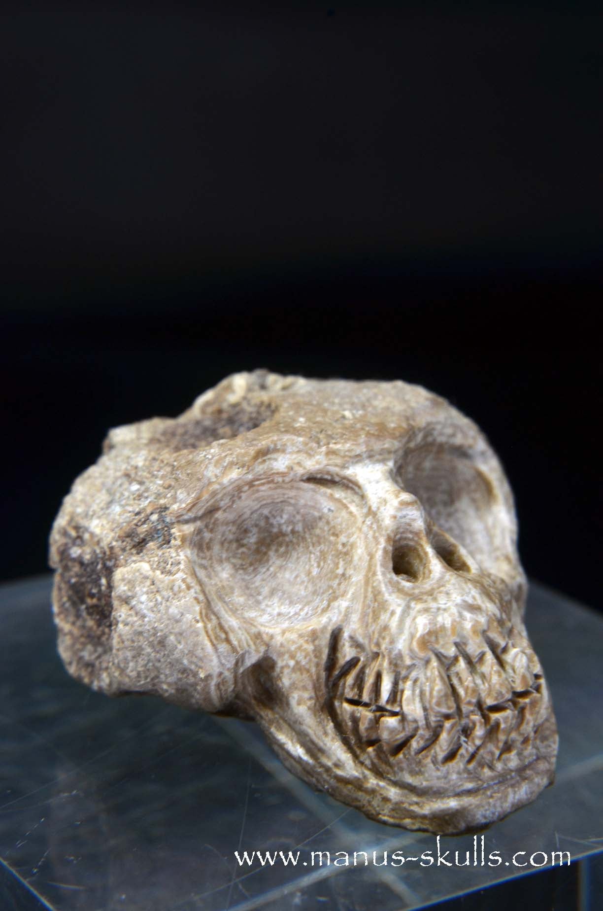 Manus skulls unique Crystal Carvings handmade skulls dragons pendants preseli bluestone tribals spiritual meaning wand Unicorn ..  aragonite nodul