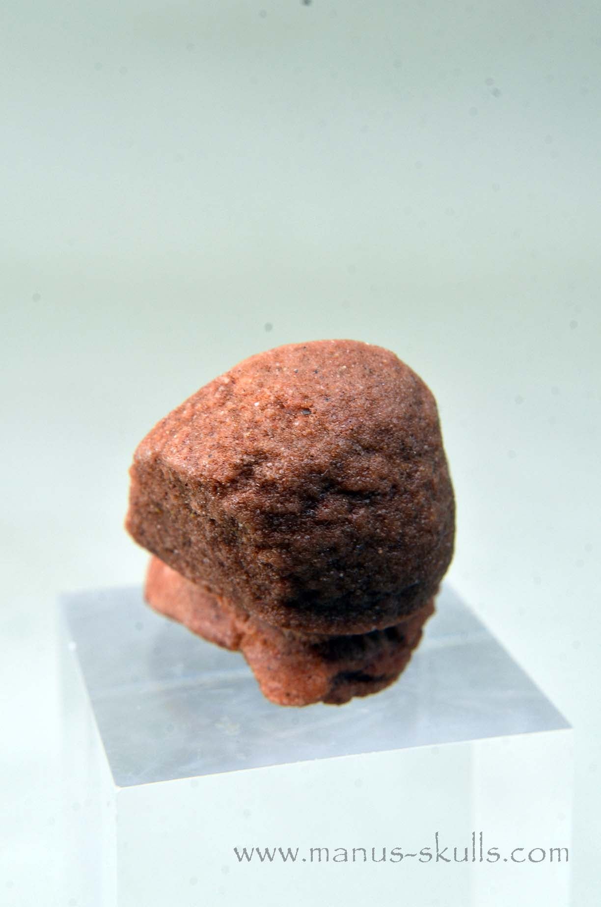 Oncolite EVOLIAN #02 (2025)