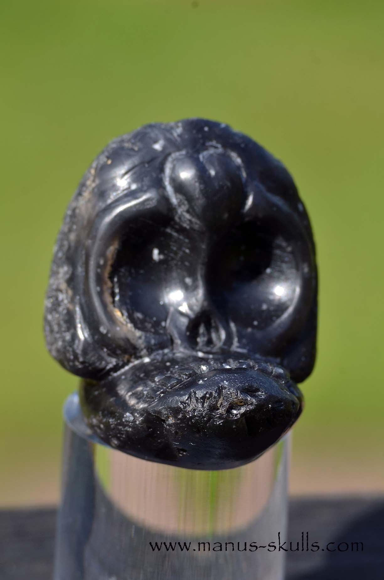 Agni Manitite Evolian Manus Skull