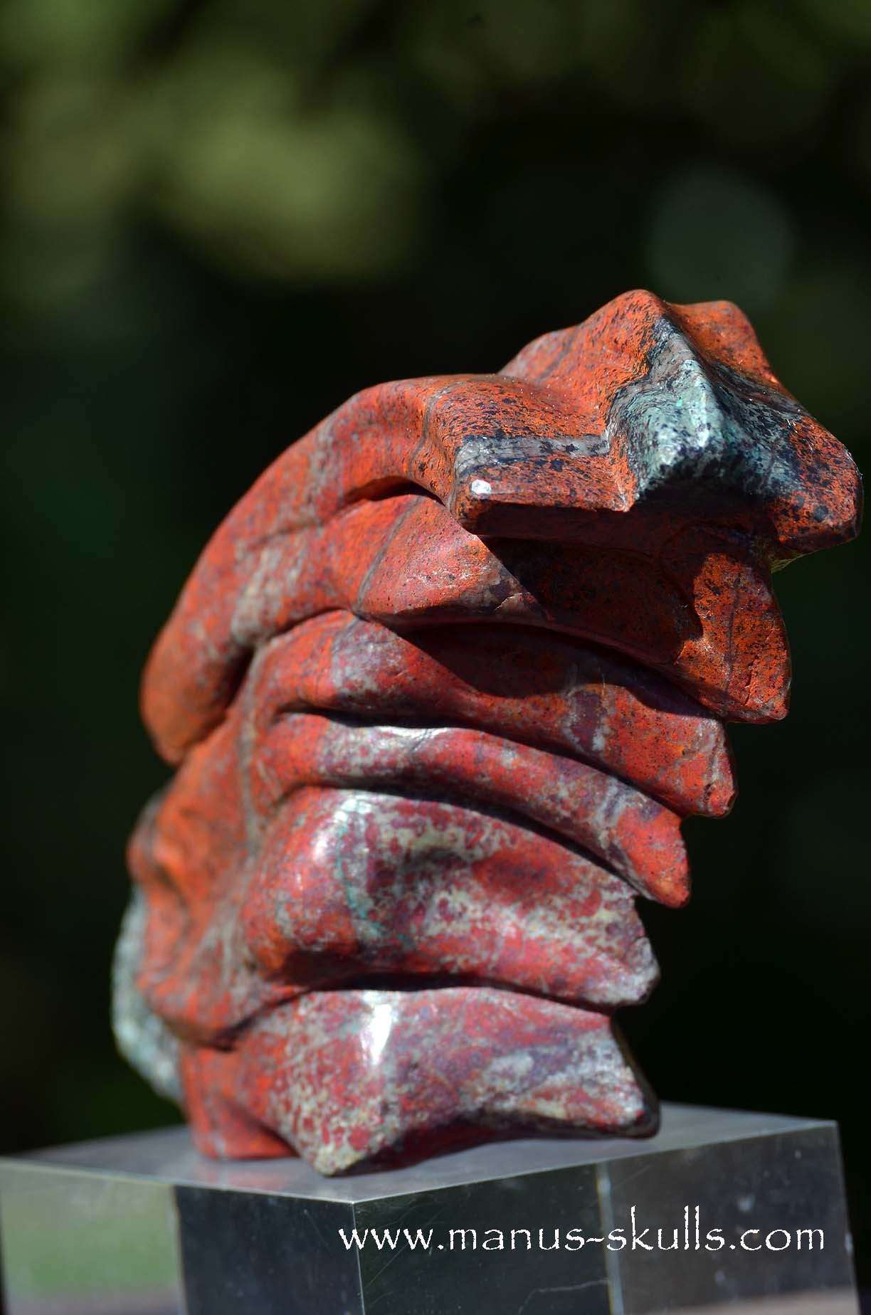Special! .... Large SONORA SUNRISE Dragon ....
