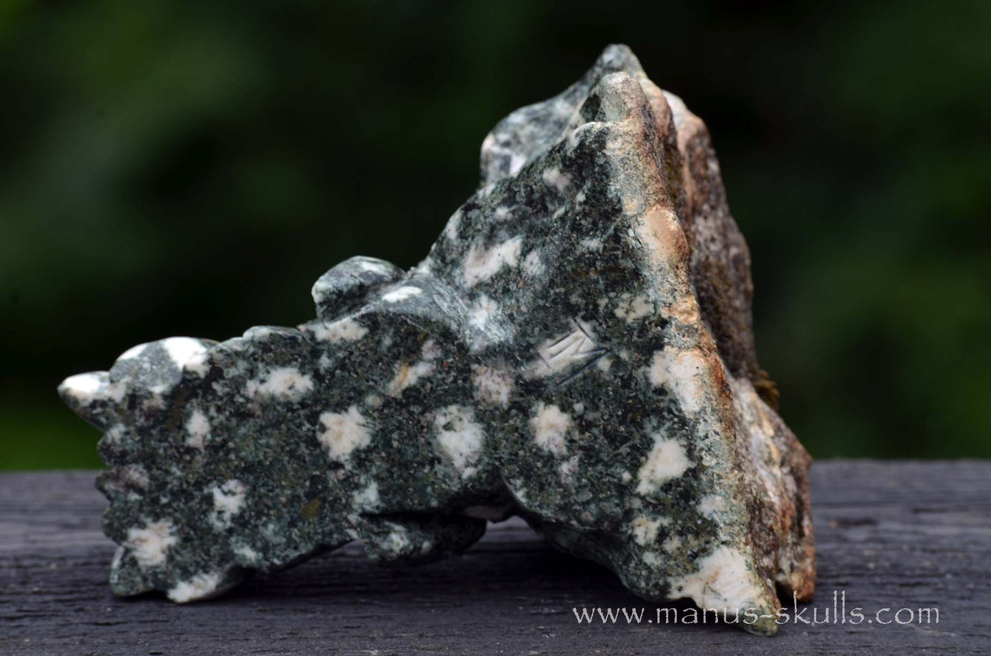 Preseli Bluestone Dragon