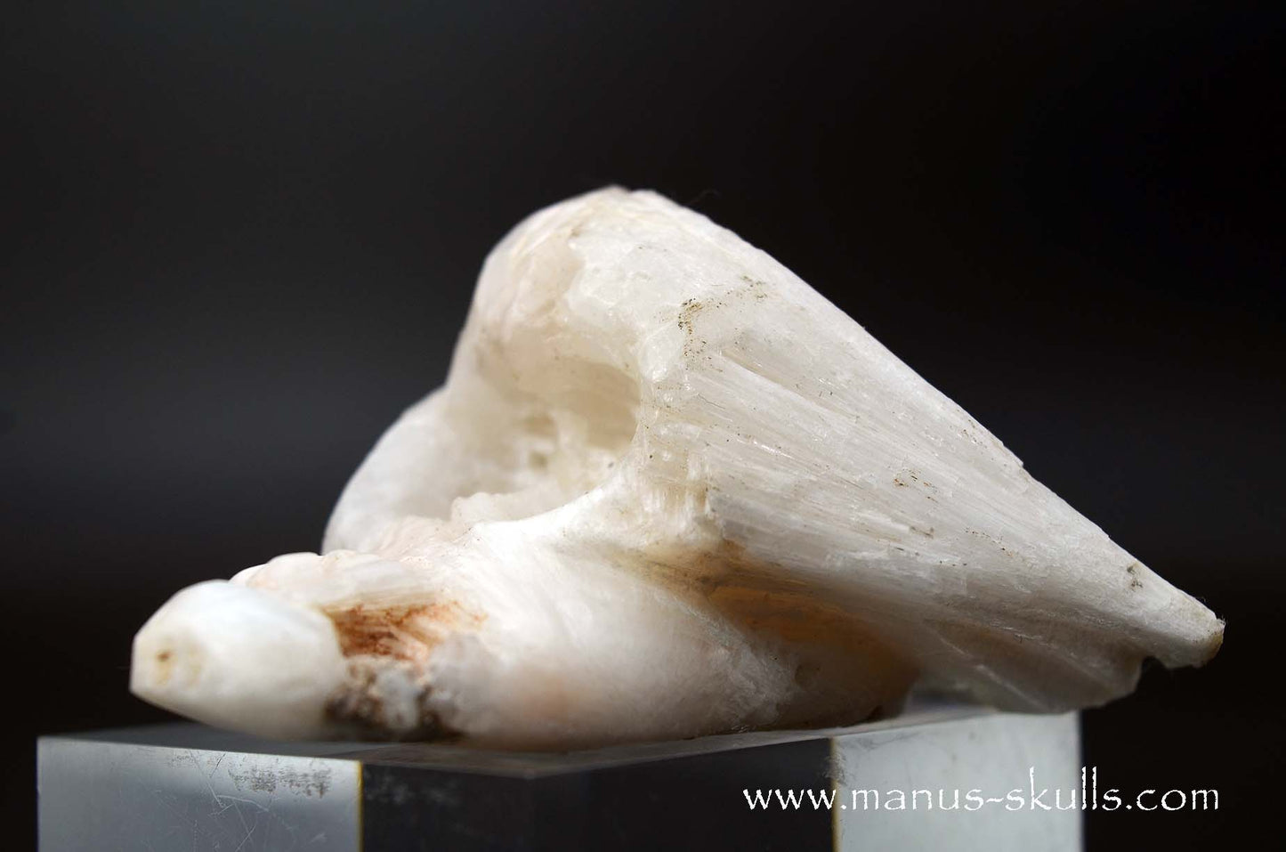 Scolecite Evolian Skull #01