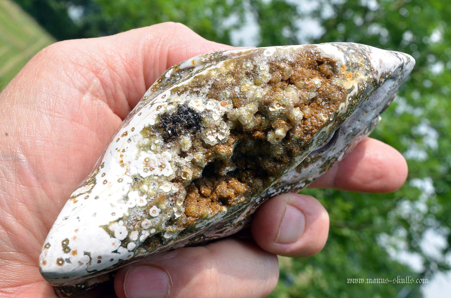 Ocean Jasper Dragon