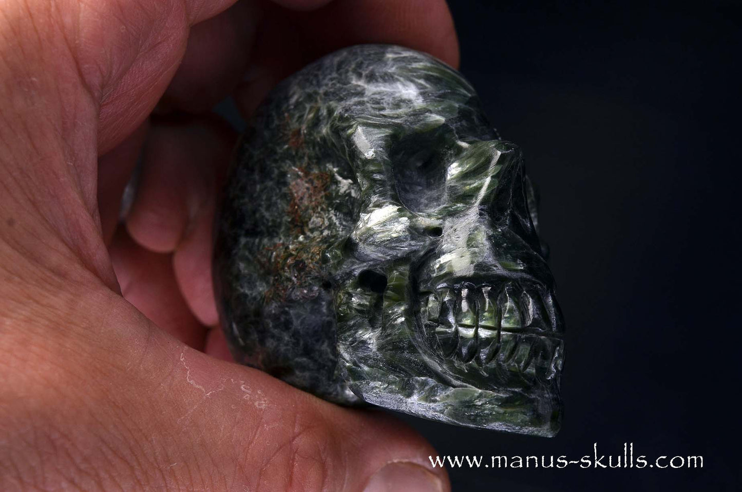 Seraphinite Skull