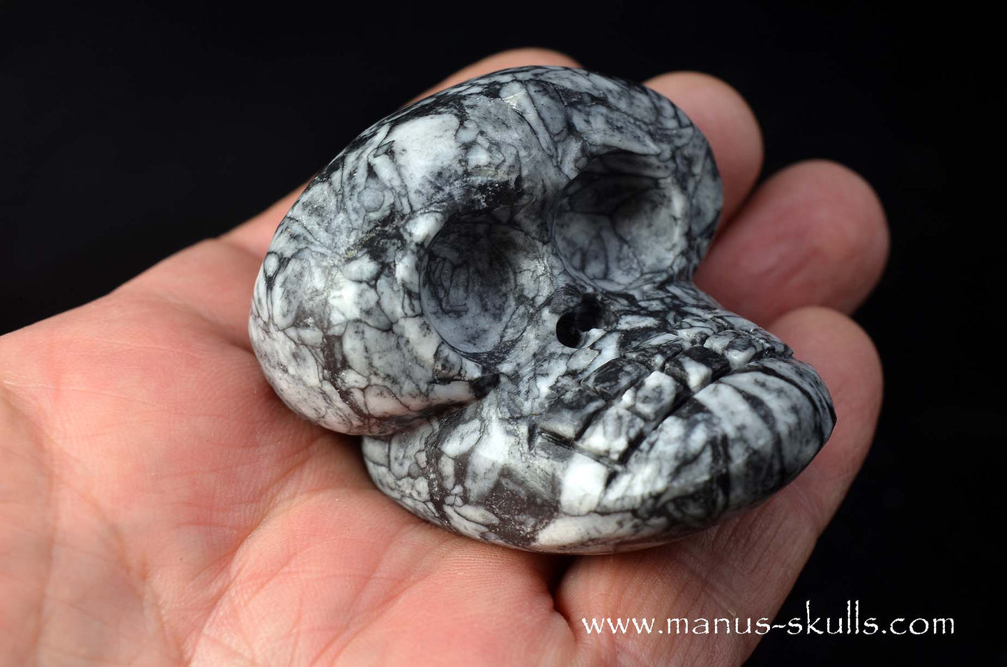 Austrian Pinolith Evolian #04