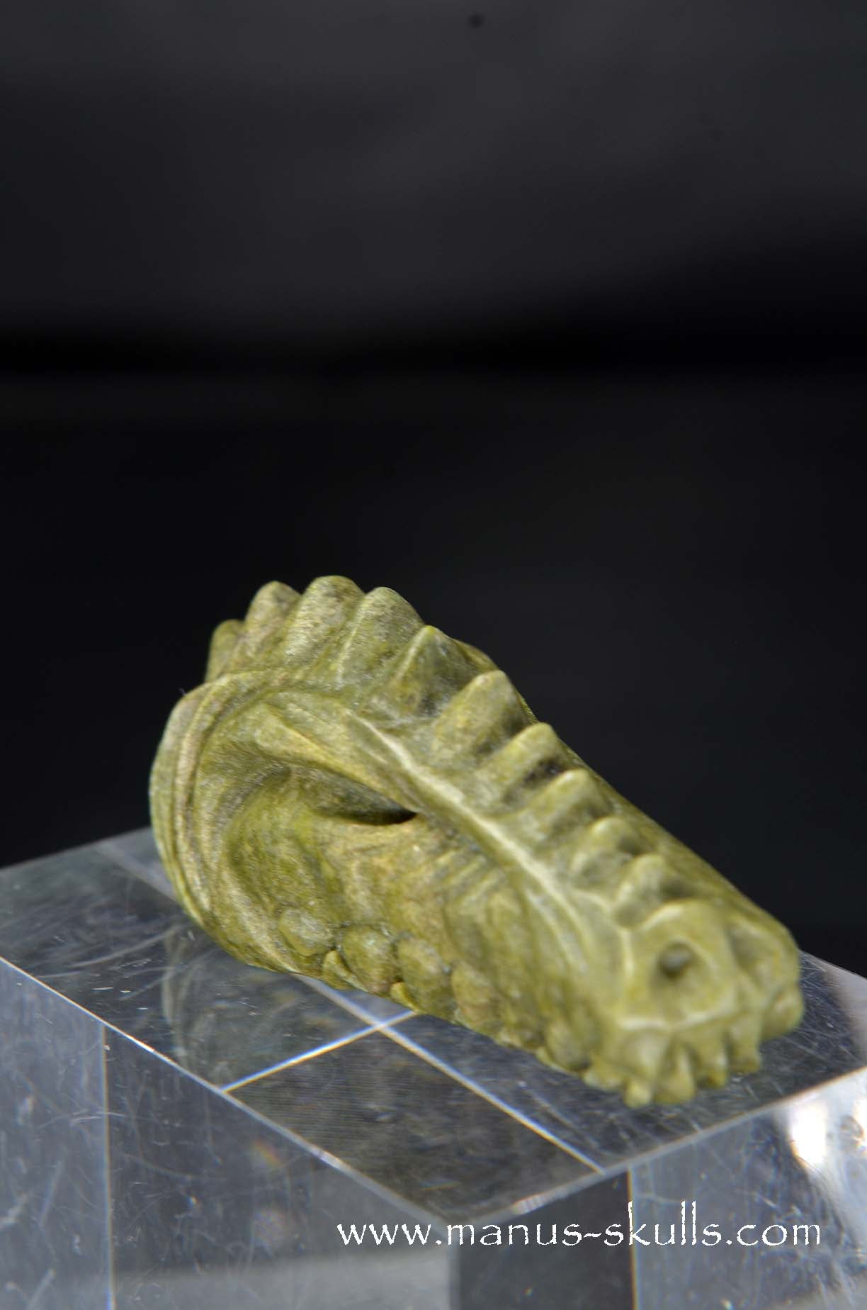 Manus skulls unique Crystal Carvings handmade skulls dragons pendants preseli bluestone tribals spiritual meaning wand Unicorn .. greenlandite