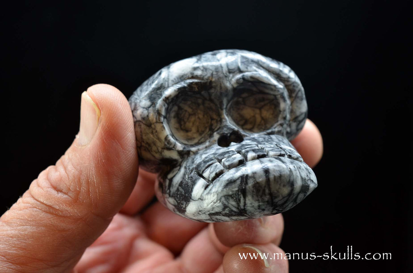 Austrian Pinolith Evolian #04