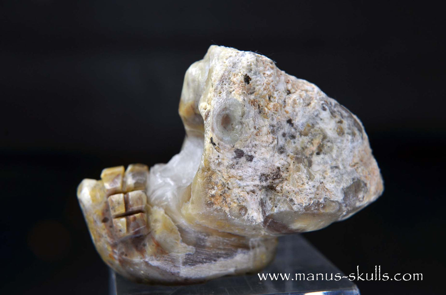 TNT-bed Thunderegg Evolian #02