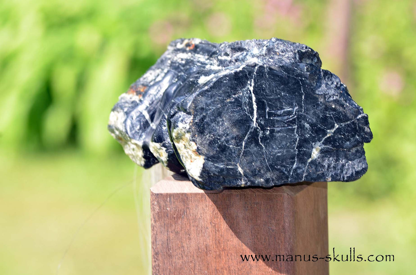 Black Tourmaline Tribal Skull #051