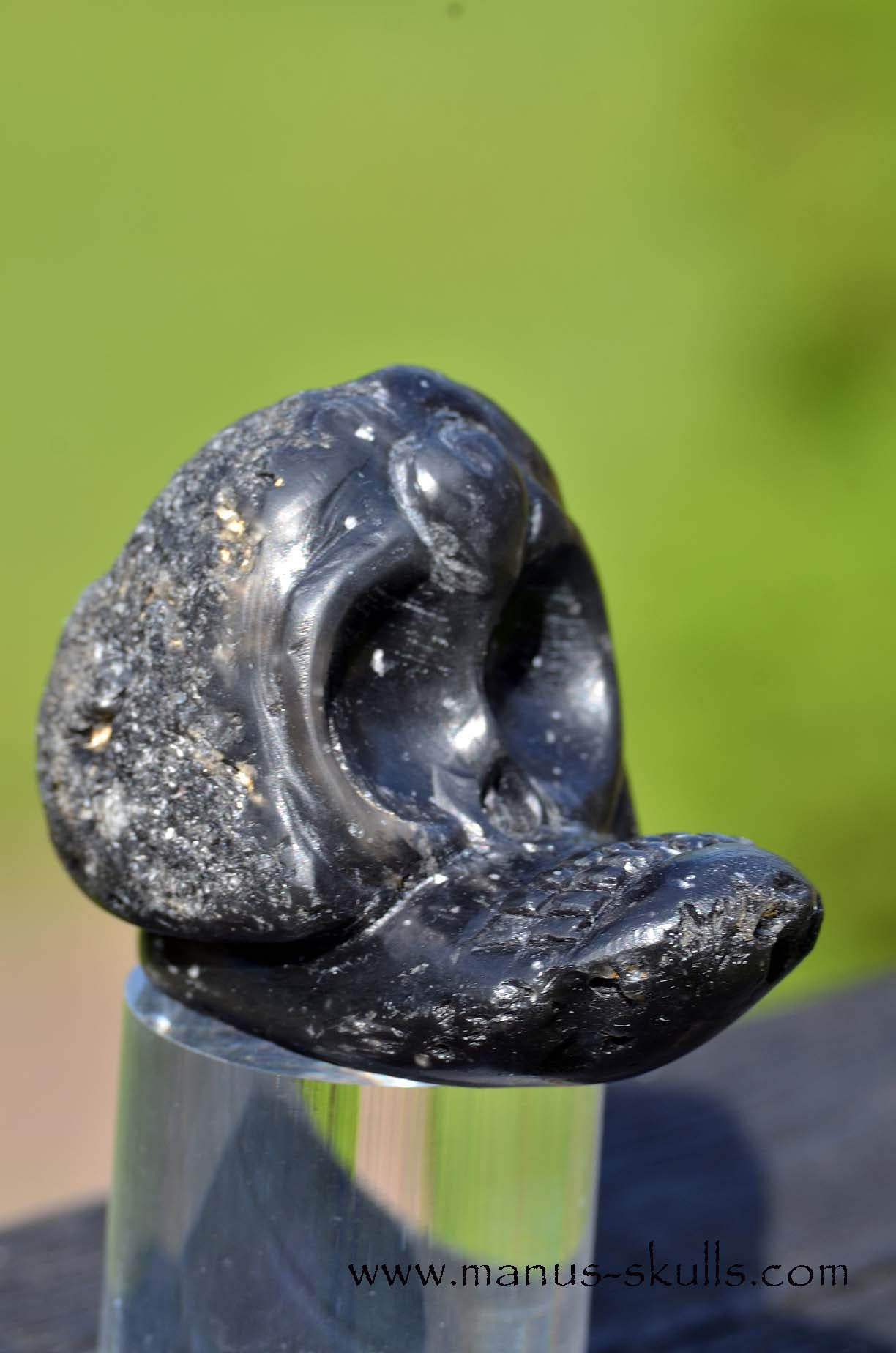 Agni Manitite Evolian Manus Skull